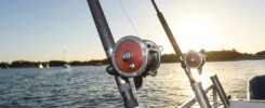Fishing Charter near McIntosh Manor - Boat with rods visible